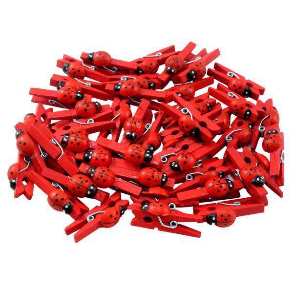 گیره دکوری کوه شاپ کد D - A021 مجموعه 50 عددی