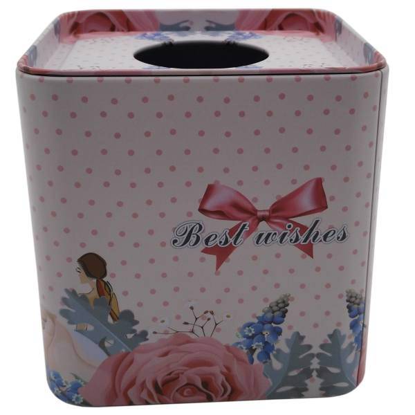 جعبه فلزی دستمال توالت کیدتونز کد KDT- J073، Kidtunse KDT- J073 Toilet Paper Box