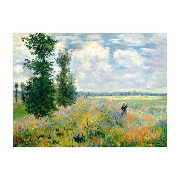 تابلوی گرافیتی طرح Monet سایز 50 × 70، Graffity Monet Chassis 70 x 50