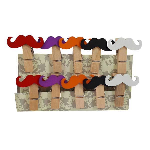 گیره طرح سیبیل بسته 10 عددی