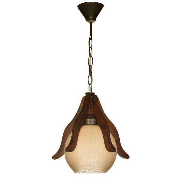 چراغ آویز تک شعله دیلایت کدArian/1CH، Delight Arian-1CH One Branch Hanging Lamp