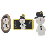 مگنت کد 10 بسته 3 عددی 10 Magnet Pack Of 3