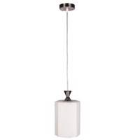 چراغ آویز دیلایت 1 شعله کد BAZ215 WH