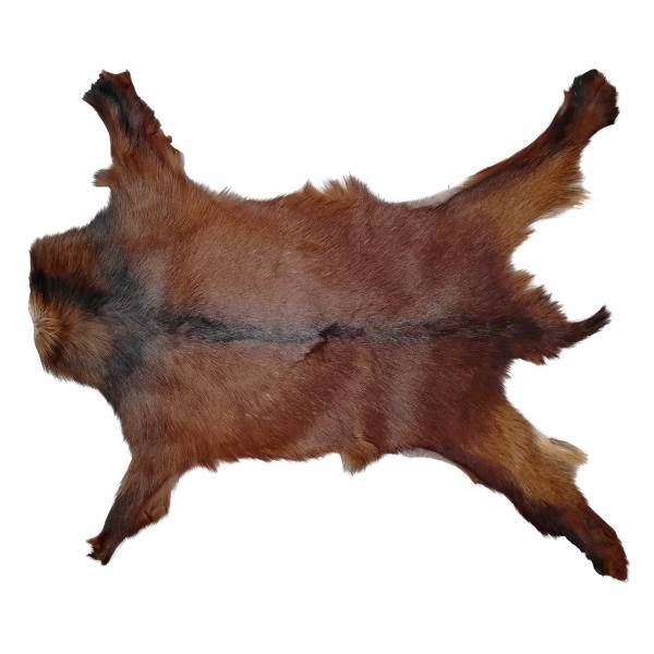 فرش پوست طبیعی کمالی مدل AC-00035