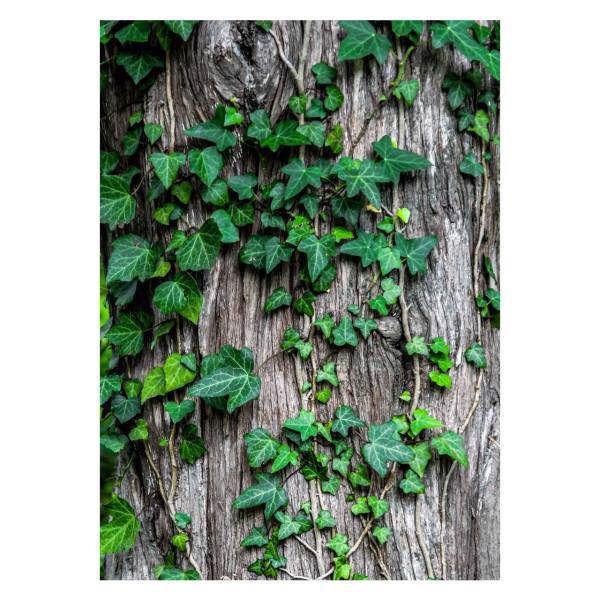 تابلو گالری مارکت لند کد M115