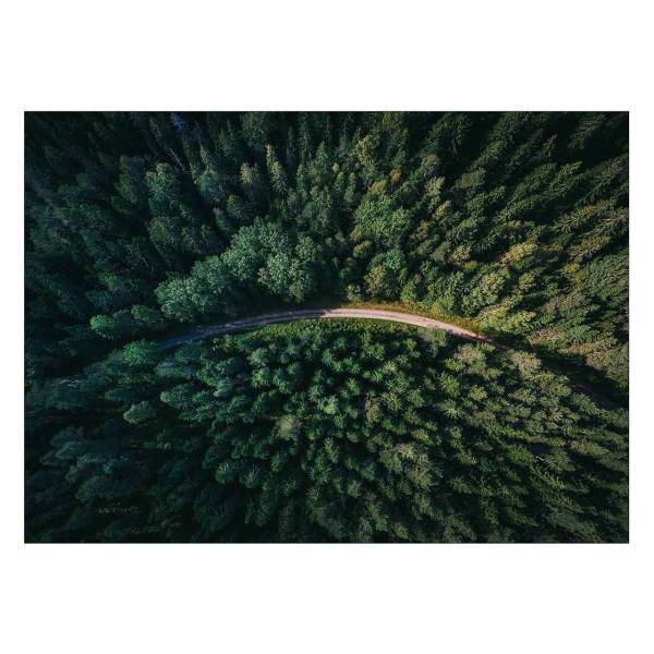 تابلو شاسی ونسونی طرح Jungle Road سایز 50x70 سانتی متر، Wensoni Jungle Road Chassis Size 50 x 70 Cm