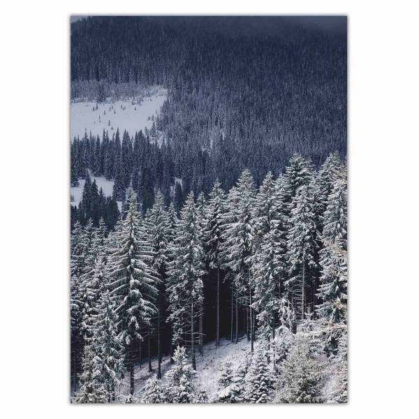 تابلو شاسی ونسونی طرح Snowy Mountain سایز 30×40 سانتی متر، Wensoni Snowy Mountain Chassis 40 x 30