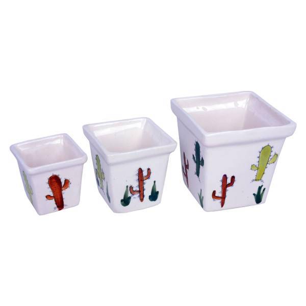 ست سه تکه گلدان سرامیکی ژینورا طرح C5 مدل کاکتوس، Gynura C5 Cactus Ceramic Flower Pot Set 3 Pieces