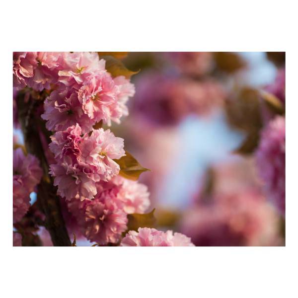 تابلو گالری مارکت لند کد M110