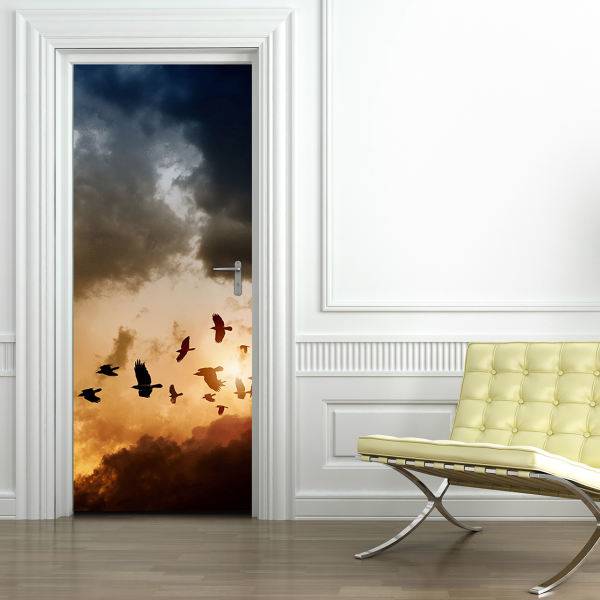 استیکر در بومرنگ کد DM-N18، Boomrang DM-N18 Door Mural