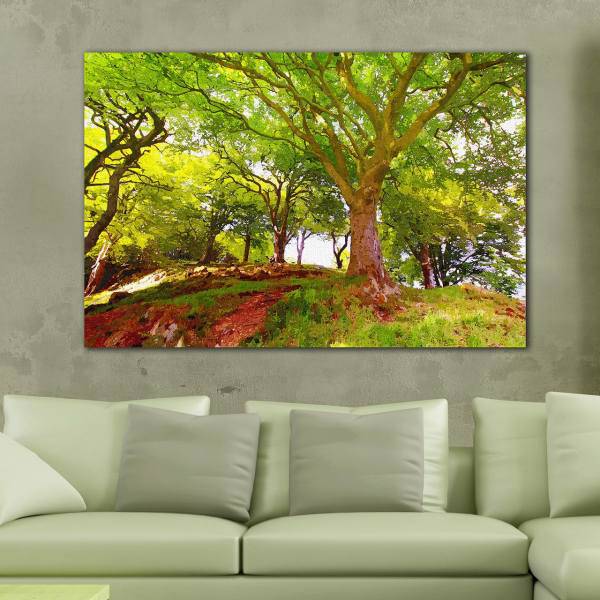 تابلو شاسی بوم آریکان مدل N118