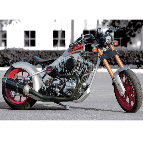 تابلو شاسی آکو طرح Harley Davidson سایز 20 × 28 سانتی متر، Ako Harley Davidson Chassis Size 20 x 28