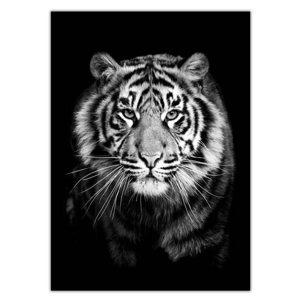 تابلو شاسی ونسونی طرح Stalwart Tiger سایز 30x40 سانتی متر، Wensoni Stalwart Tiger Chassis 40 x 30