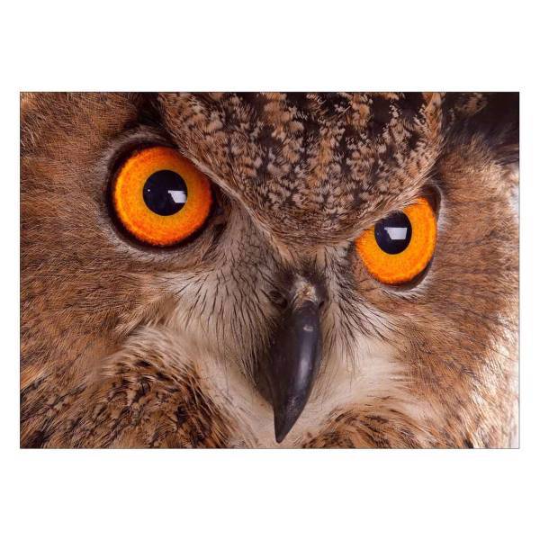 تابلو شاسی ونسونی طرح Eagle Owl Eye سایز 50x70 سانتی متر، Wensoni Eagle Owl Eye Chassis Size 50 x 70 Cm