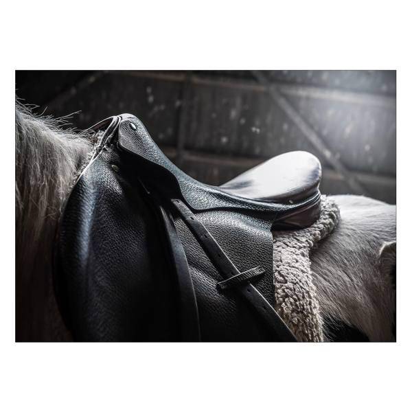تابلو شاسی ونسونی طرح Horse Saddle سایز 50x70 سانتی متر، Wensoni Horse Saddle Chassis Size 50 x 70 Cm
