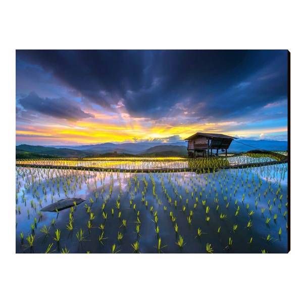 تابلو شاسی الینور مدل Elt428 سایز 40x30 سانتی متر، Elinor Elt428 Chassis Size 30 x 40 Cm