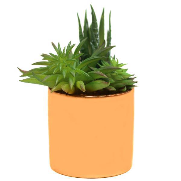 گلدان گل آکو مدل کاکتوس D3837، Ako Cactus D3837 Flower Vase