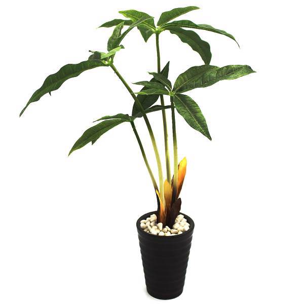 گلدان گل آکو مدل بونسای F9697، Ako Bonsai F9697 Flower Vase