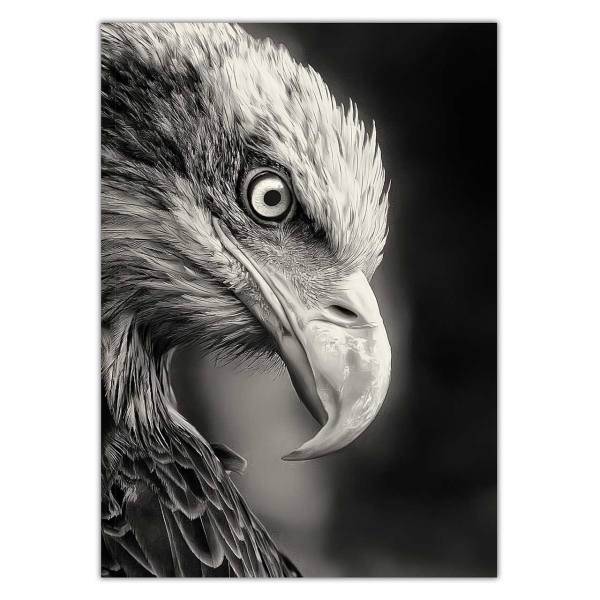 تابلو شاسی ونسونی طرح Blacked Eagle سایز 30 × 40 سانتی متر، Wensoni Blacked Eagle Chassis 40 x 30