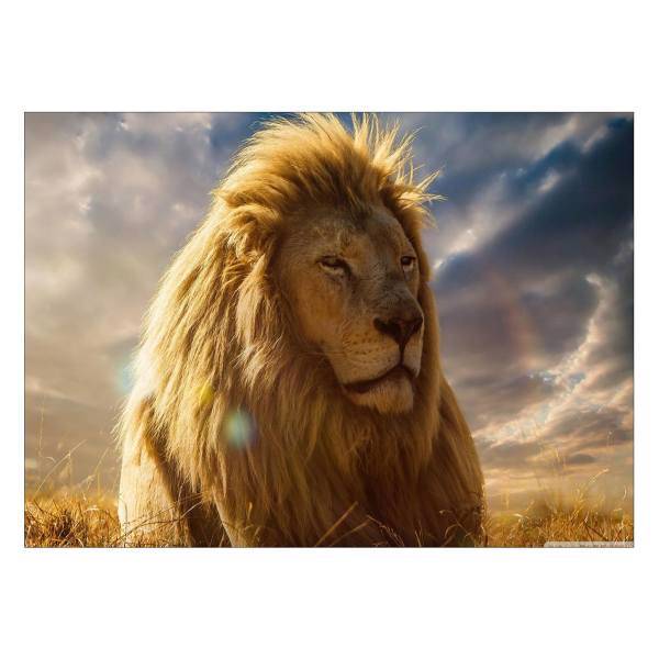 تابلو شاسی ونسونی طرح Wise Lion سایز 50x70 سانتی متر، Wensoni Wise Lion Chassis Size 50 x 70 Cm