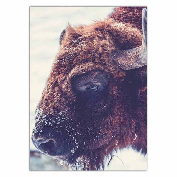 تابلو شاسی ونسونی طرح Buffalo سایز 50 × 70 سانتی متر، Wensoni Buffalo Chassis Size 50 x 70 Cm