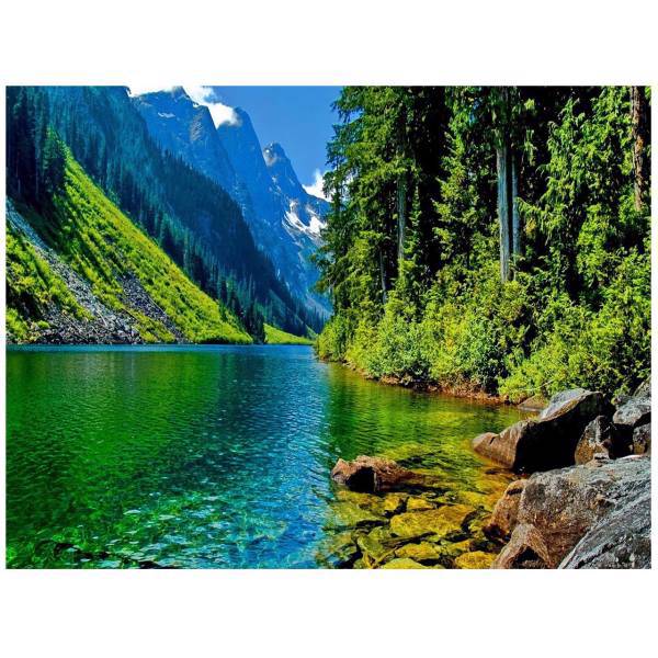 تابلو شاسی مِسترچاپ کد 1019