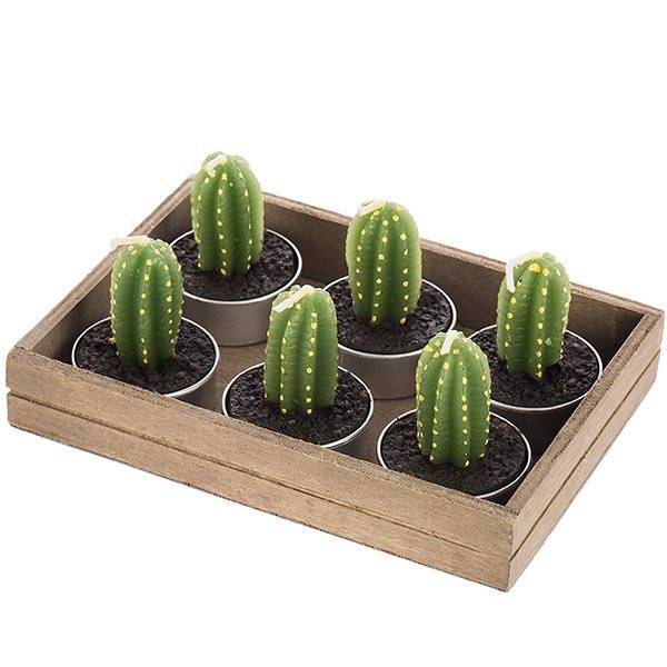 شمع هارمونی مدل کاکتوس N10241 بسته 6 عددی، Harmony Cactus N10241 Candle Pack of 6