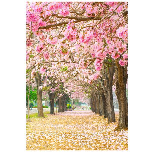 تابلو شاسی نوآوران کد SH4، Noavaran SH4 Tableau