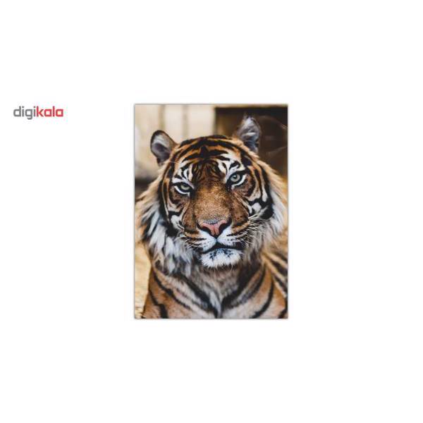 تابلو شاسی ونسونی طرح Tiger Notable Look سایز 30x40 سانتی متر، Wensoni Tiger Notable Look Chassis 40 x 30