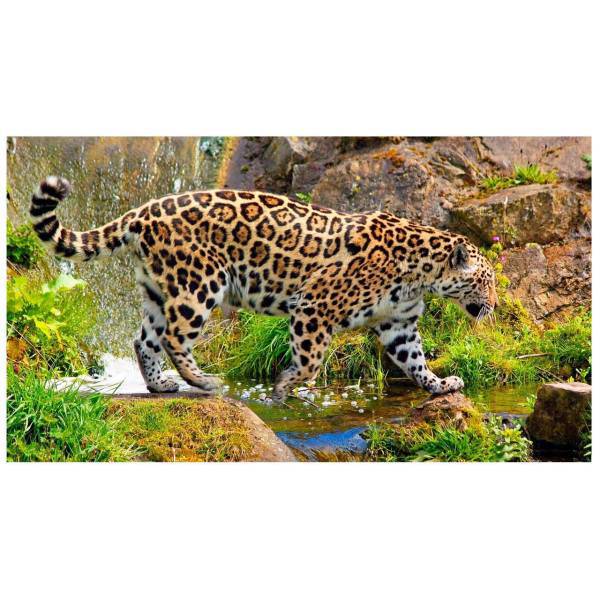 تابلو شاسی نقره ترمه مدل A14