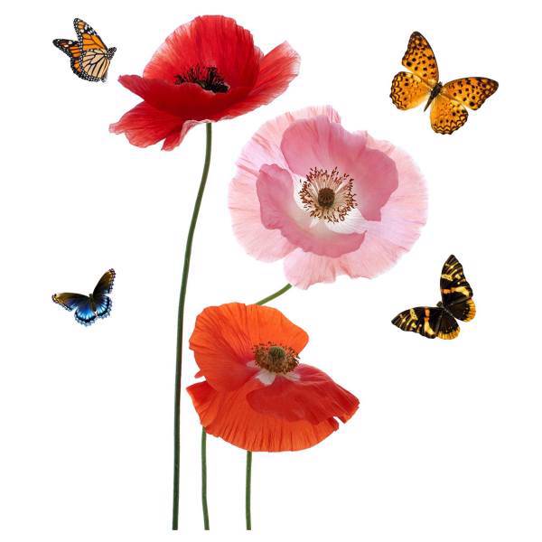 استیکر دیواری سه بعدی ژیوار مدل Red and Pink Anemones، Zhivar Red and Pink Anemones 3D Wall Sticker