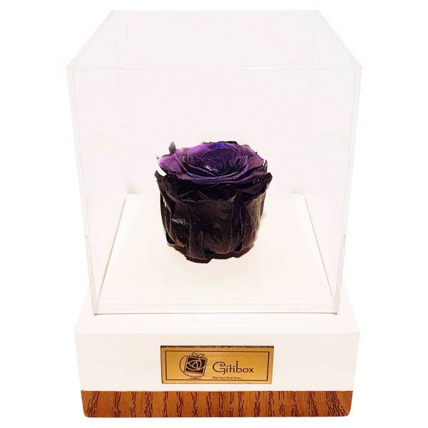 جعبه گل ماندگار گیتی باکس مدل رز جاودان مشکی افرا، Gitibox Afra Black Preserved Rose Flower Box