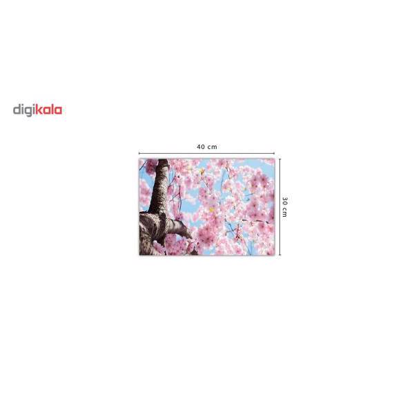 تابلو شاسی ونسونی طرح Pink Bloom سایز 30×40 سانتی متر، Wensoni Pink Bloom Chassis 40 x 30