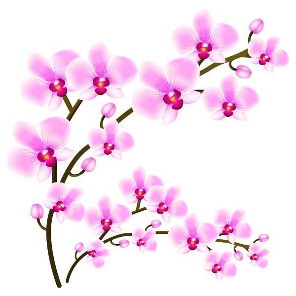 استیکر سالسو طرح pink orchid، Salso pink orchid Sticker