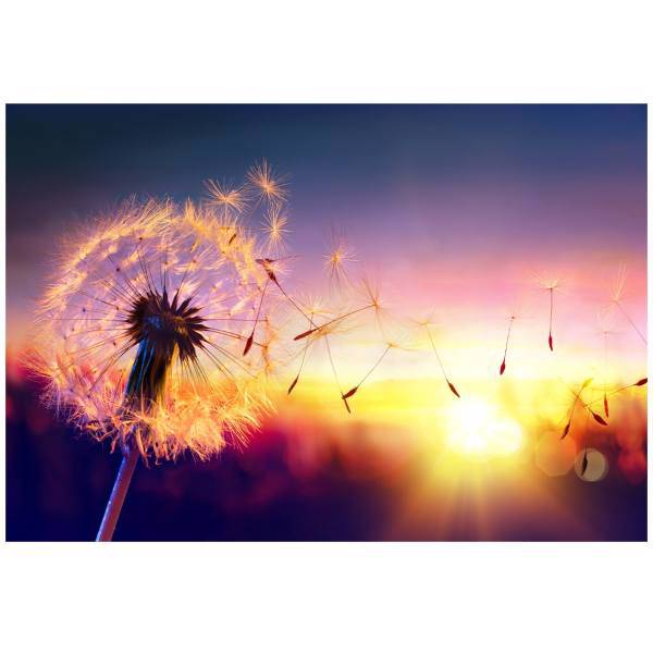 تابلو شاسی نوآوران کد SH12، Noavaran SH12 Tableau