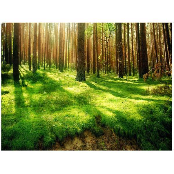 تابلو شاسی مِسترچاپ کد 1026