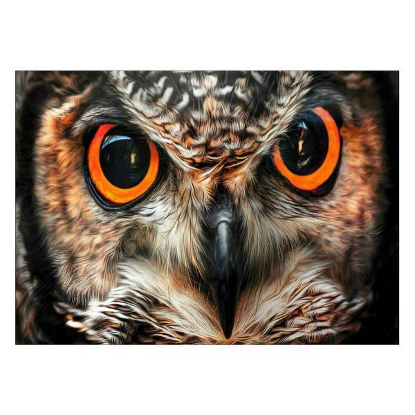تابلو شاسی ونسونی طرح Owl Art سایز 50x70 سانتی متر، Wensoni Owl Art Chassis Size 50 x 70 Cm