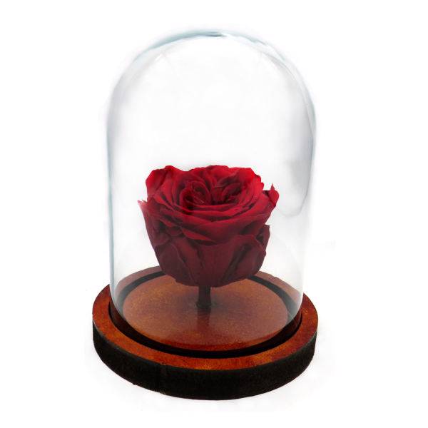 جعبه گل رز جاودان گالری کالالند مدل Te Amo، KalaLand Gallery Te Amo Preserved Rose Flower Box