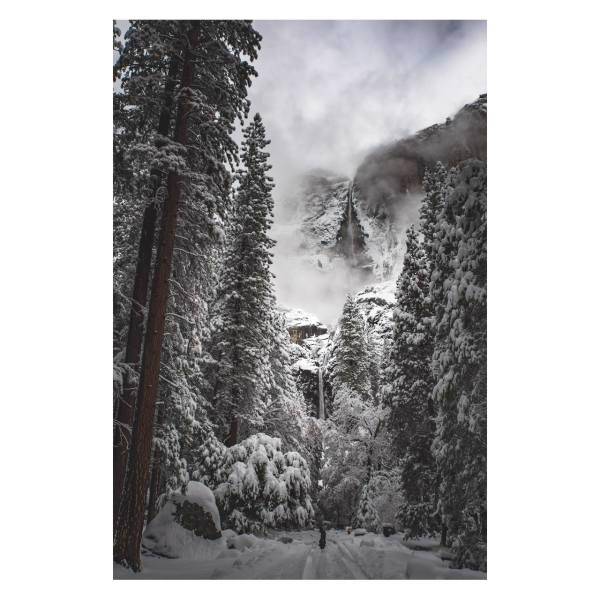 تابلو گالری مارکت لند کد M104