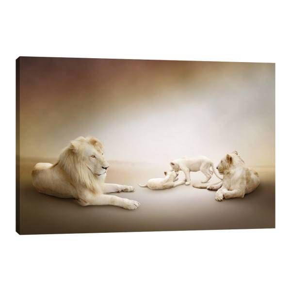 تابلو بوم آیریس کد Iris0012