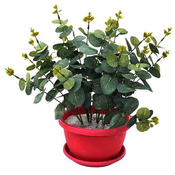 گلدان گل برتاریو مدل Episcia، Bertario Episcia Flower Vase