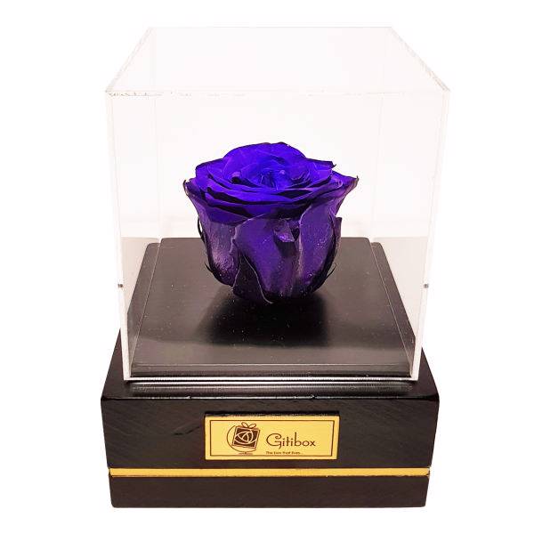 جعبه گل ماندگار گیتی باکس مدل رز جاودان آبی تیره کاج، Gitibox Kaj Dark Blue Preserved Rose Flower Box