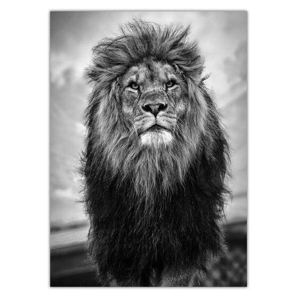 تابلو شاسی ونسونی طرح Stand Of Lion سایز 30 × 40، Wensoni Stand Of Lion Chassis 40 x 30