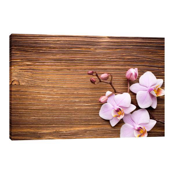 تابلو بوم آیریس کد Iris0039 طرح ارکیده