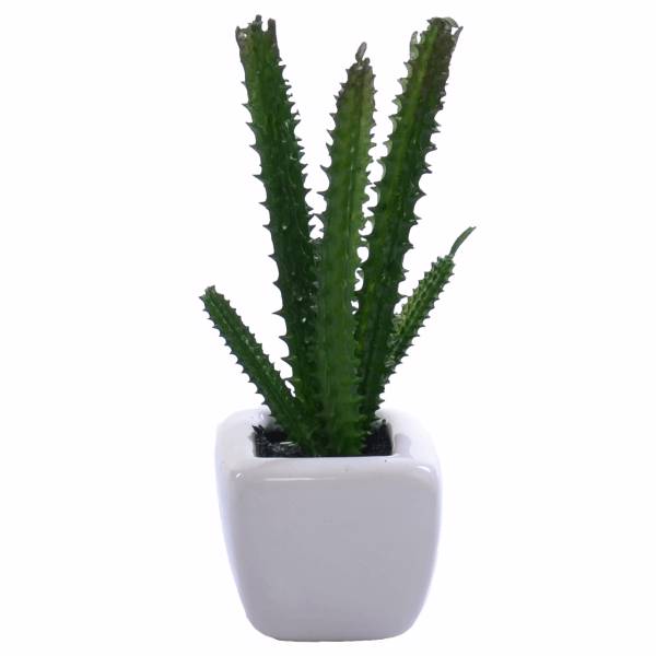 گلدان به همراه گل مصنوعی رایدین مدل کاکتوسR11، Raydin Cactus R11 Flower Vase