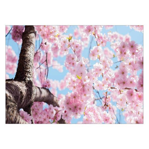 تابلو شاسی ونسونی طرح Pink Bloom سایز 50x70 سانتی متر، Wensoni Pink Bloom Chassis Size 50 x 70 Cm