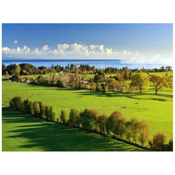 تابلو شاسی مِسترچاپ کد 1028