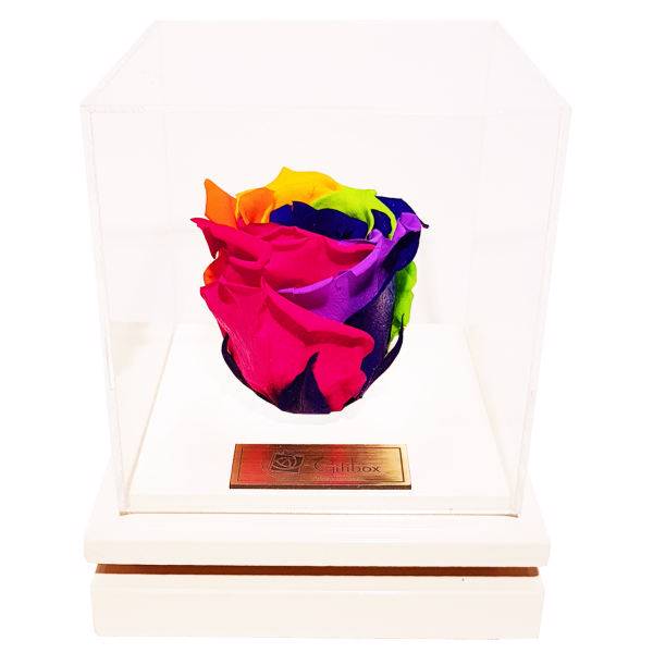 جعبه گل ماندگار گیتی باکس مدل رز جاودان 7 رنگ بالسا، Gitibox Balsa 7 Color Preserved Rose Flower Box