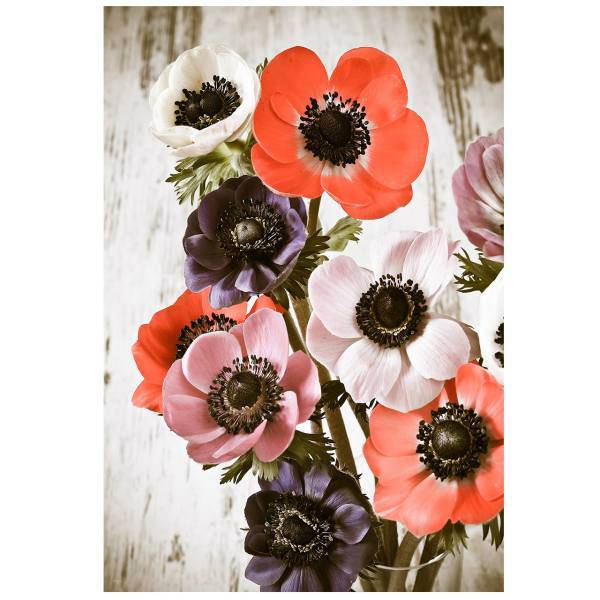 تابلو شاسی نوآوران کد SH1، Noavaran SH1 Tableau