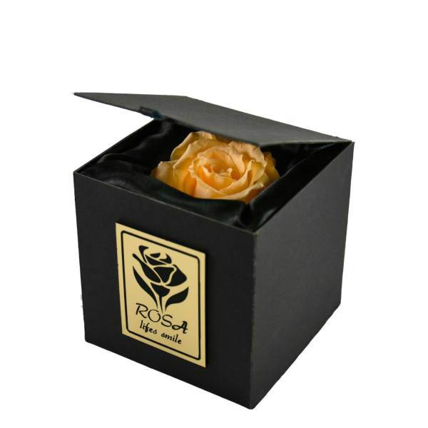 جعبه گل ماندگار رزا مدل رز جاودان نارنجی روشن، Rosa Orange Preserved Rose Flower Box